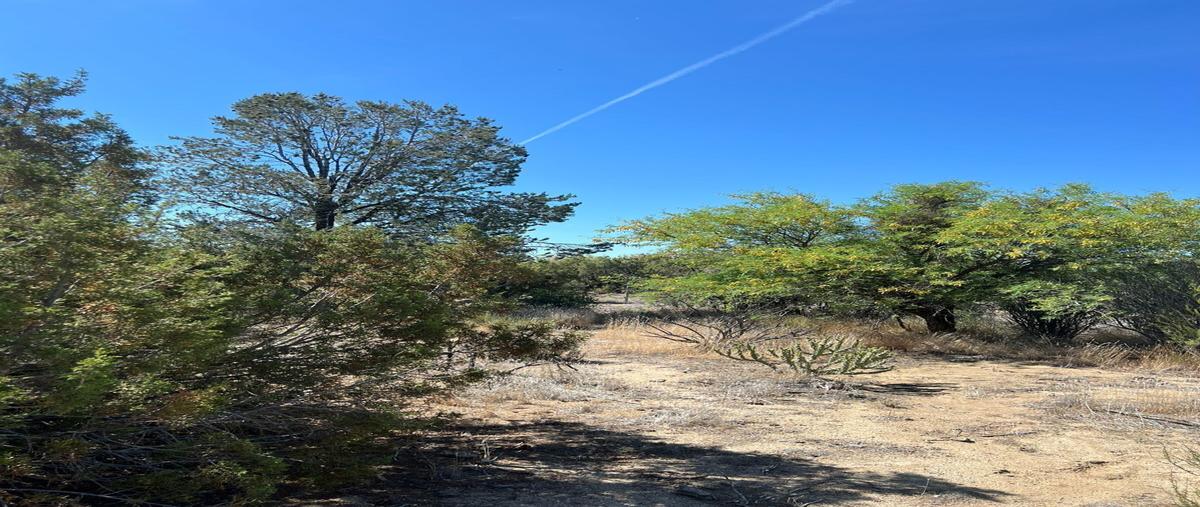 Foto de terreno habitacional en venta en ojos negros , ojos negros, ensenada, baja california, 0 No. 04