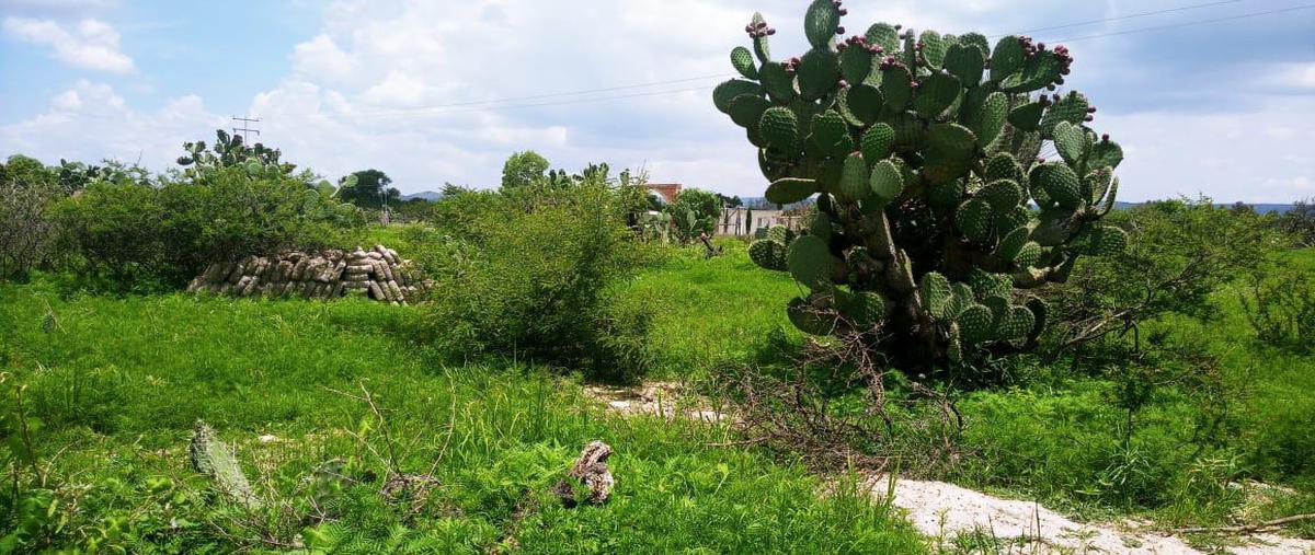 Foto de terreno habitacional en venta en  , ojuelos de jalisco, ojuelos de jalisco, jalisco, 17508565 No. 03