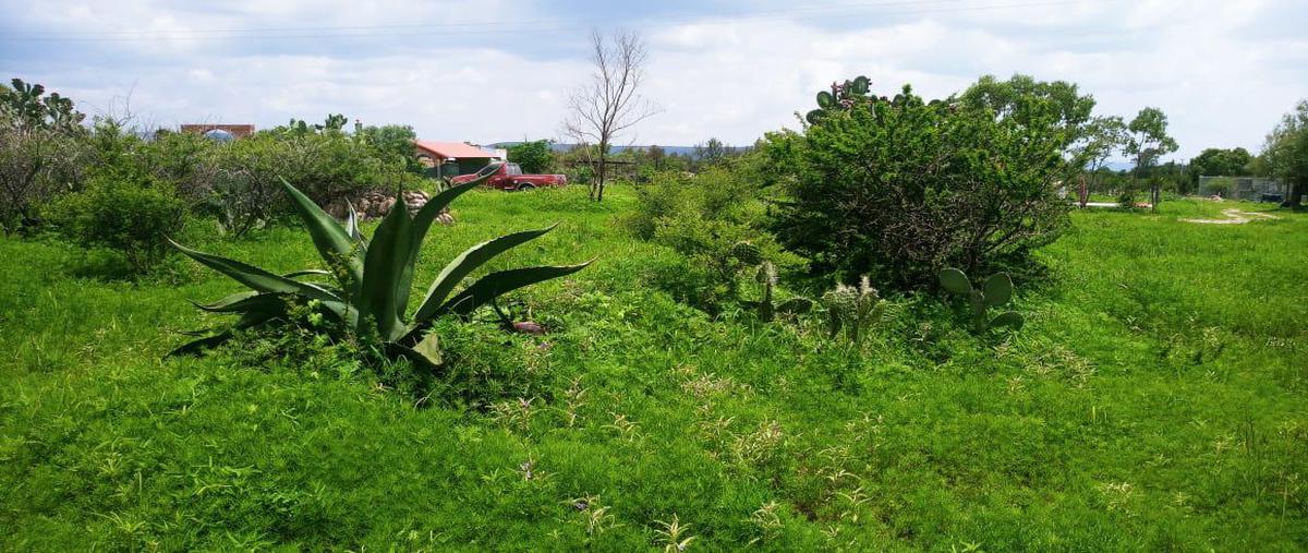Foto de terreno habitacional en venta en  , ojuelos de jalisco, ojuelos de jalisco, jalisco, 17508565 No. 04