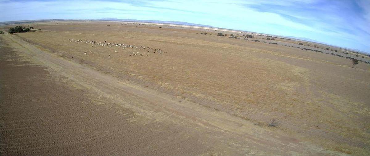 Foto de terreno habitacional en venta en  , ojuelos de jalisco, ojuelos de jalisco, jalisco, 0 No. 04