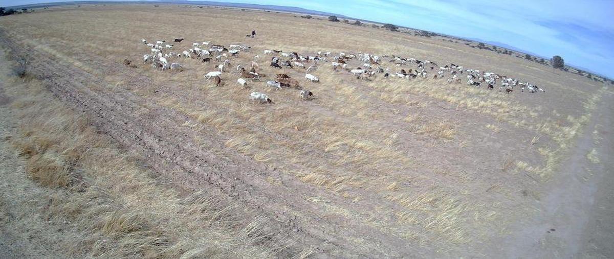 Foto de terreno habitacional en venta en  , ojuelos de jalisco, ojuelos de jalisco, jalisco, 0 No. 05