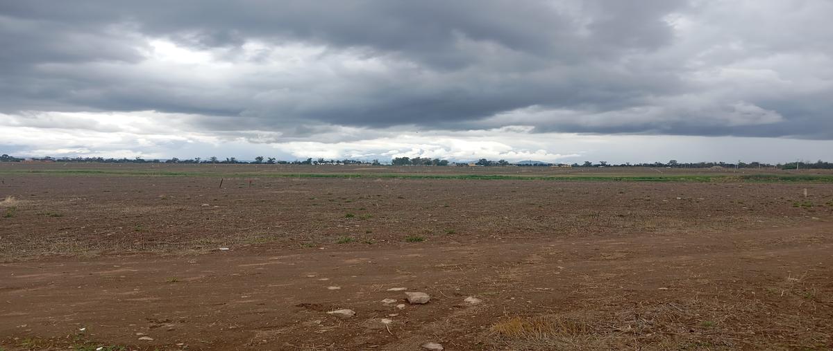 Foto de terreno habitacional en venta en  , ojuelos de jalisco, ojuelos de jalisco, jalisco, 30006036 No. 05