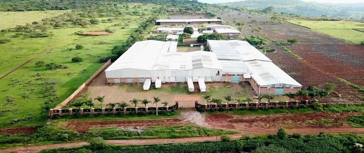 Foto de bodega en oleuducto pemex oriente , zapotlanejo, zapotlanejo, jalisco, 28386384 foto 03 Foto de bodega en renta en oleuducto pemex oriente , zapotlanejo, zapotlanejo, jalisco, 28386384 No. 03