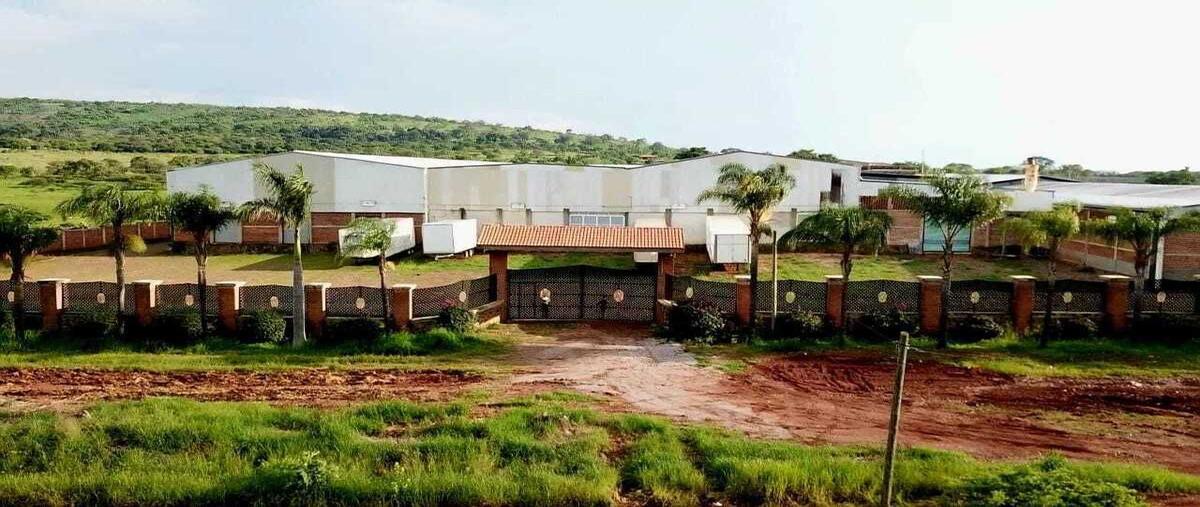 Foto de bodega en venta en oleuducto pemex oriente , zapotlanejo, zapotlanejo, jalisco, 29334110 No. 04