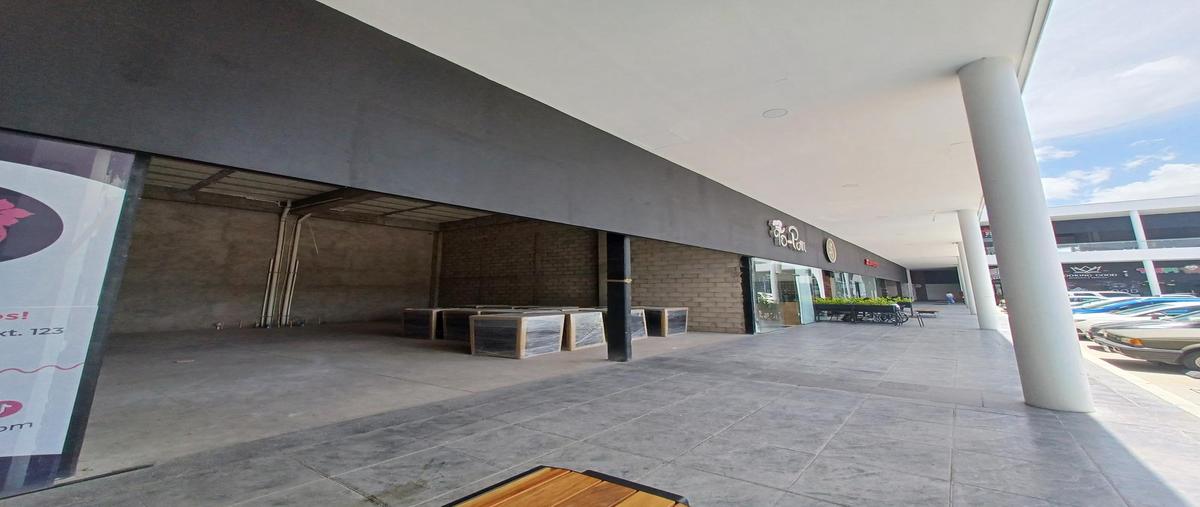 Foto de local en renta en  , olivares santana, aguascalientes, aguascalientes, 0 No. 03