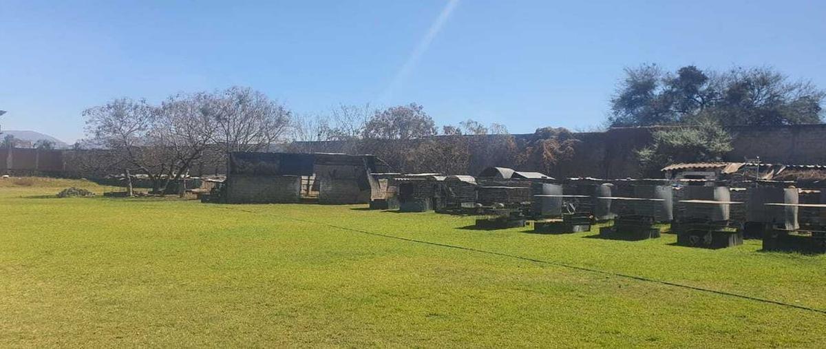 Foto de terreno habitacional en venta en olivo manzanilla , santa rosa (la hacienda de santa rosa), ixtlahuacán de los membrillos, jalisco, 0 No. 03