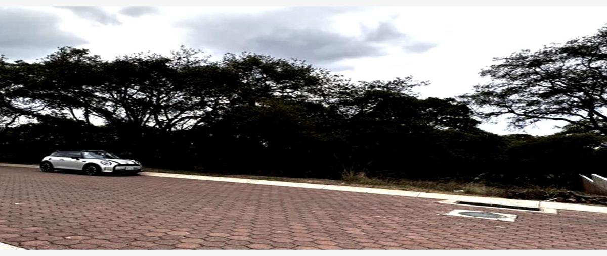 Foto de terreno habitacional en venta en olivos 1, rancho san juan, atizapán de zaragoza, méxico, 27019917 No. 05