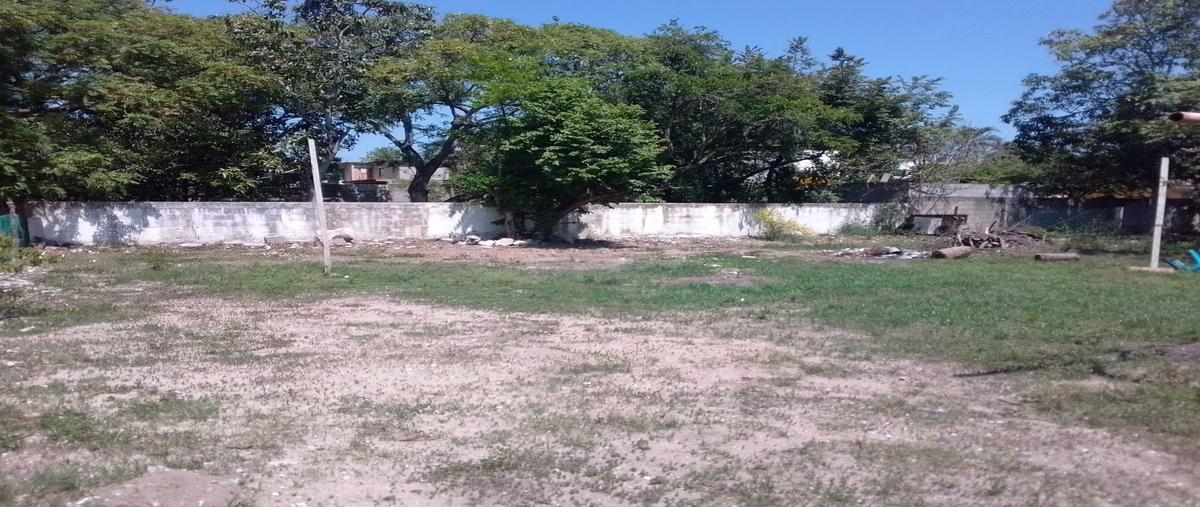 Foto de casa en renta en olmo , altamira sector iv (ampliación), altamira, tamaulipas, 29333316 No. 04
