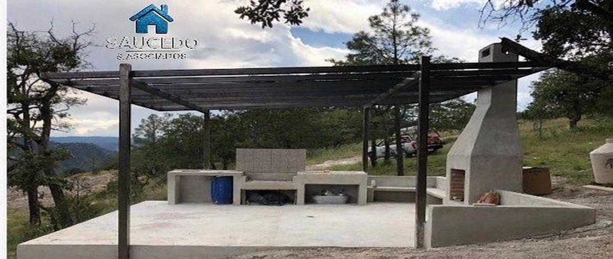 Foto de terreno habitacional en ombu , llano grande, durango, durango, 0 foto 02 Foto de terreno habitacional en venta en ombu , llano grande, durango, durango, 0 No. 02
