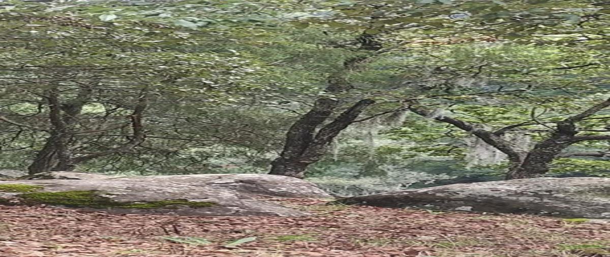 Foto de terreno habitacional en , omitlán de juárez centro, omitlán de juárez, hidalgo, 0 foto 05 Foto de terreno habitacional en venta en , omitlán de juárez centro, omitlán de juárez, hidalgo, 0 No. 05