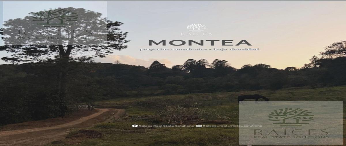 Foto de terreno habitacional en venta en  , omitlán de juárez centro, omitlán de juárez, hidalgo, 30727962 No. 03