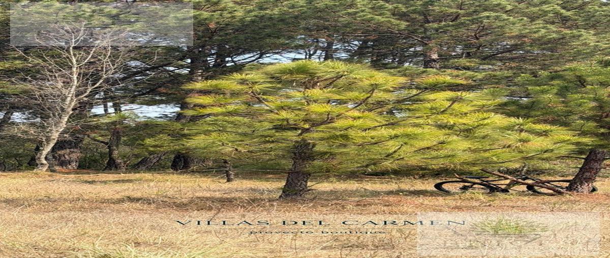 Foto de terreno habitacional en , omitlán de juárez centro, omitlán de juárez, hidalgo, 0 foto 01 Foto de terreno habitacional en venta en , omitlán de juárez centro, omitlán de juárez, hidalgo, 0 No. 01