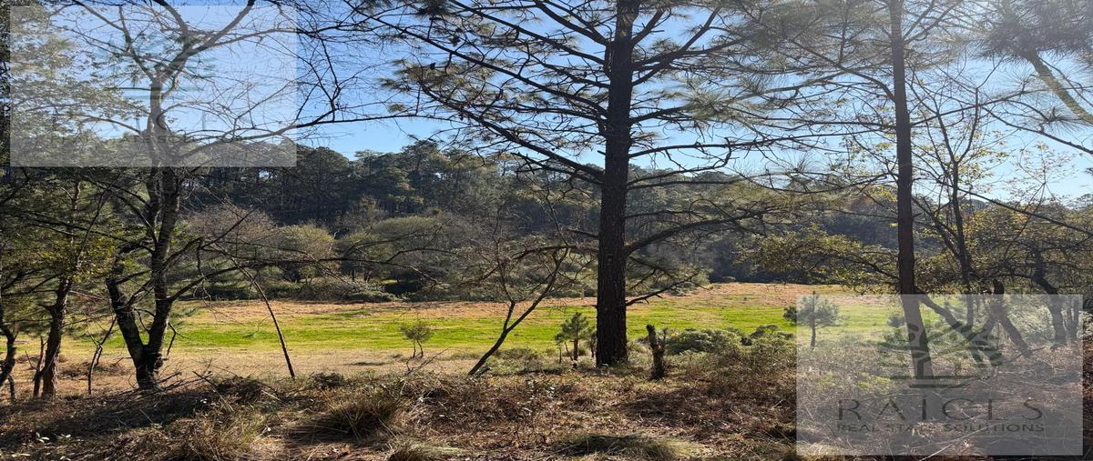 Foto de terreno habitacional en , omitlán de juárez centro, omitlán de juárez, hidalgo, 0 foto 03 Foto de terreno habitacional en venta en , omitlán de juárez centro, omitlán de juárez, hidalgo, 0 No. 03