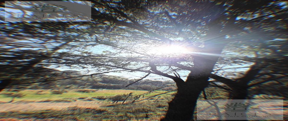 Foto de terreno habitacional en , omitlán de juárez centro, omitlán de juárez, hidalgo, 0 foto 04 Foto de terreno habitacional en venta en , omitlán de juárez centro, omitlán de juárez, hidalgo, 0 No. 04