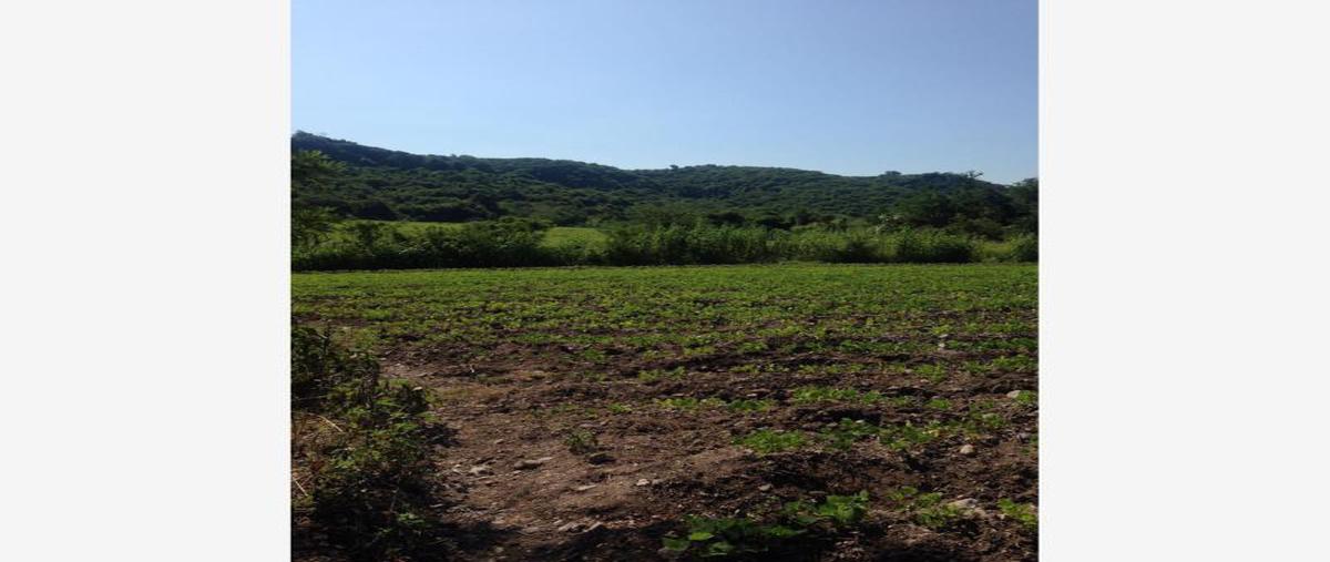 Foto de rancho en venta en ooo 40, moyotepec, ayala, morelos, 0 No. 05