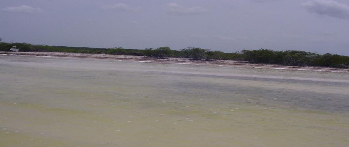 Foto de terreno habitacional en venta en ooooo , isla blanca, isla mujeres, quintana roo, 25608218 No. 05