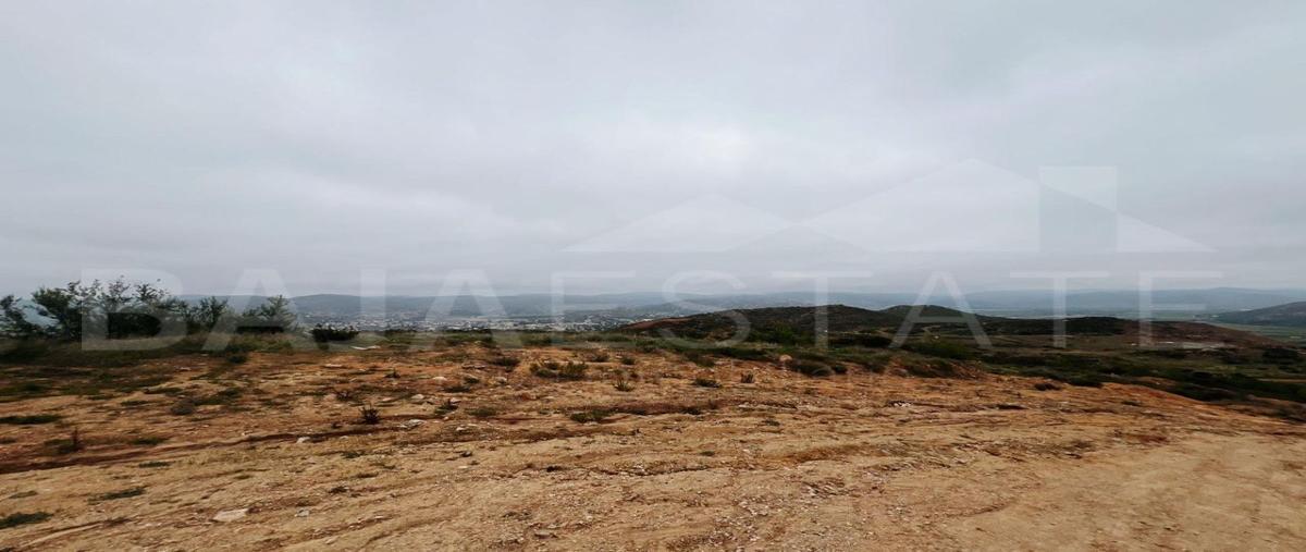 Foto de terreno habitacional en venta en ópalo , francisco zarco (valle de guadalupe), ensenada, baja california, 27607562 No. 02
