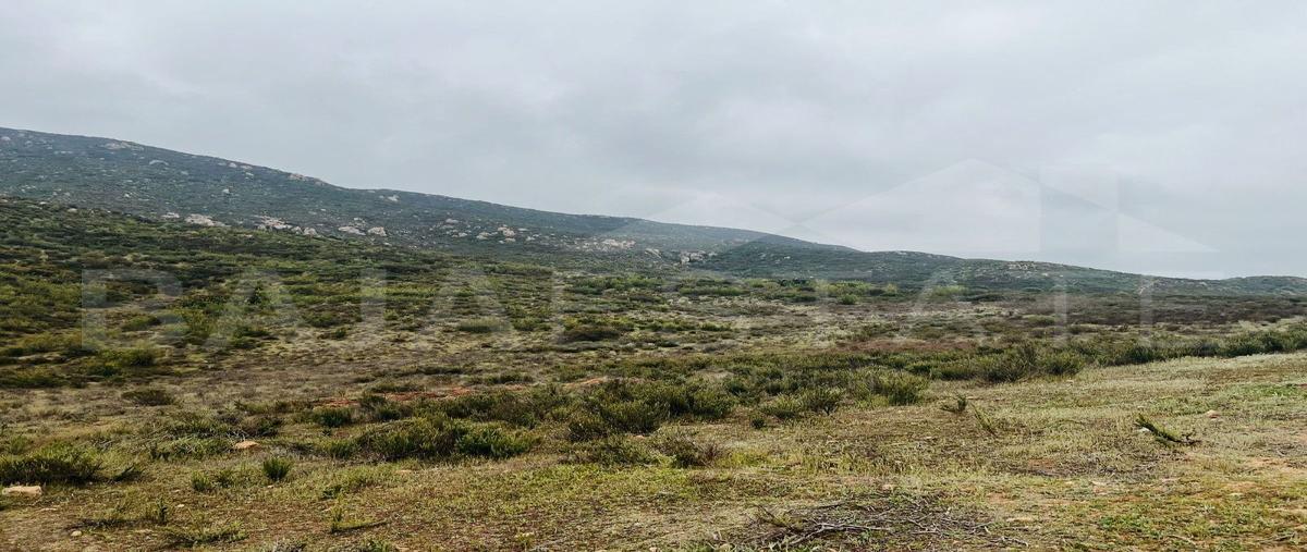 Foto de terreno habitacional en venta en ópalo , francisco zarco (valle de guadalupe), ensenada, baja california, 27607562 No. 04