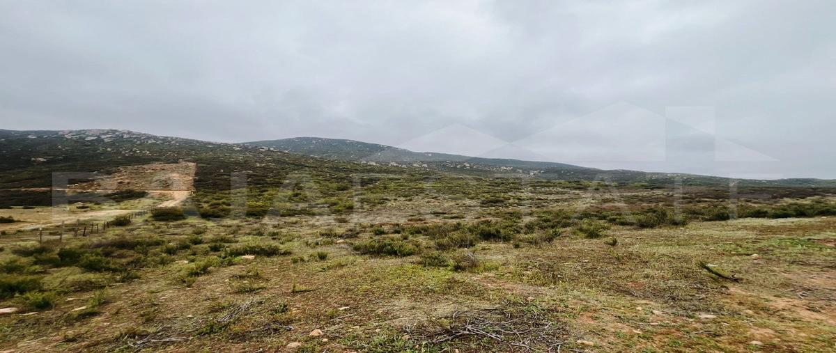 Foto de terreno habitacional en venta en ópalo , francisco zarco (valle de guadalupe), ensenada, baja california, 27607562 No. 05