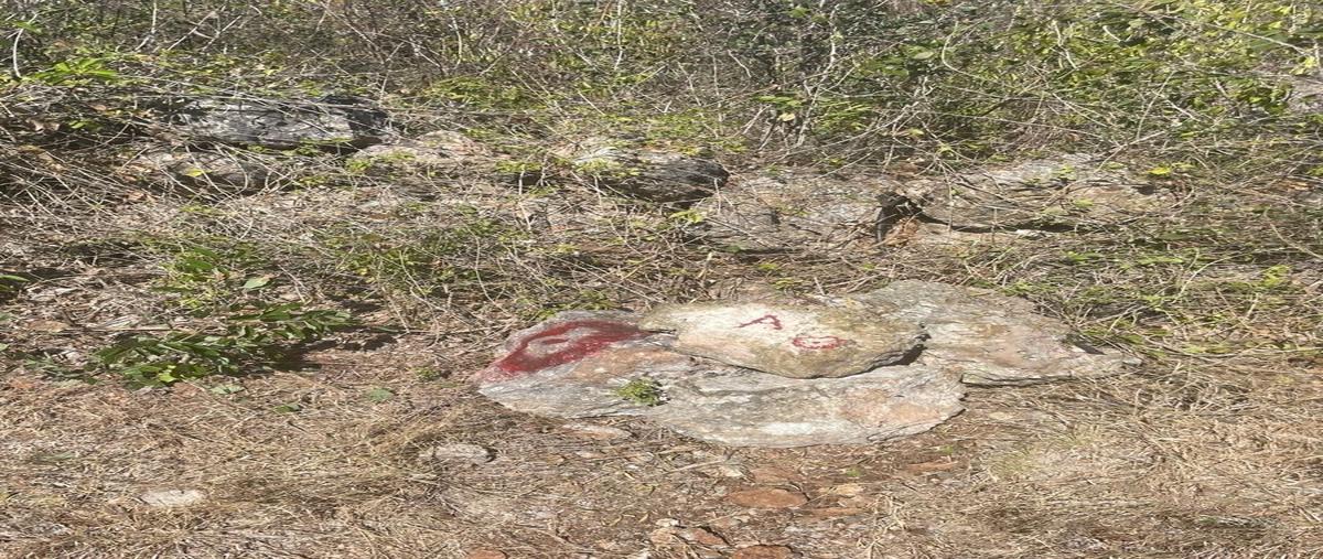 Foto de terreno habitacional en venta en opichen 8 pesos/m2 , opichen, opichén, yucatán, 0 No. 05