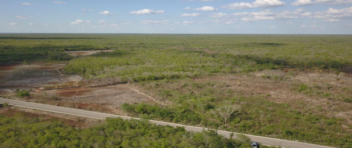 Foto de terreno habitacional en , opichen, opichén, yucatán, 0 foto 02 Foto de terreno habitacional en venta en , opichen, opichén, yucatán, 0 No. 02
