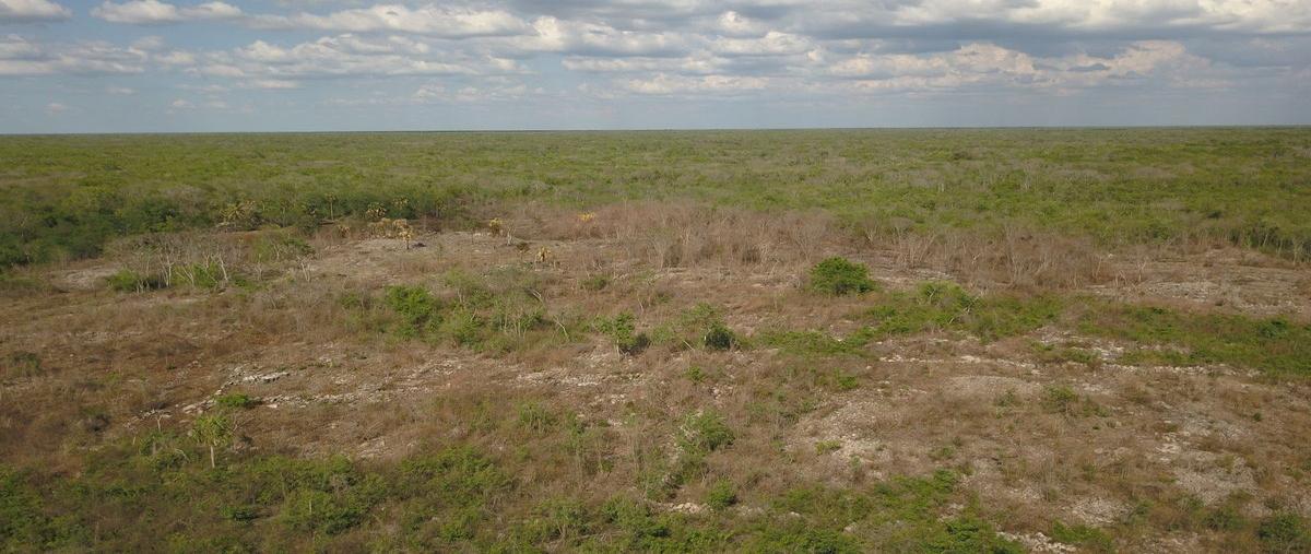 Foto de terreno habitacional en venta en  , opichen, opichén, yucatán, 0 No. 03