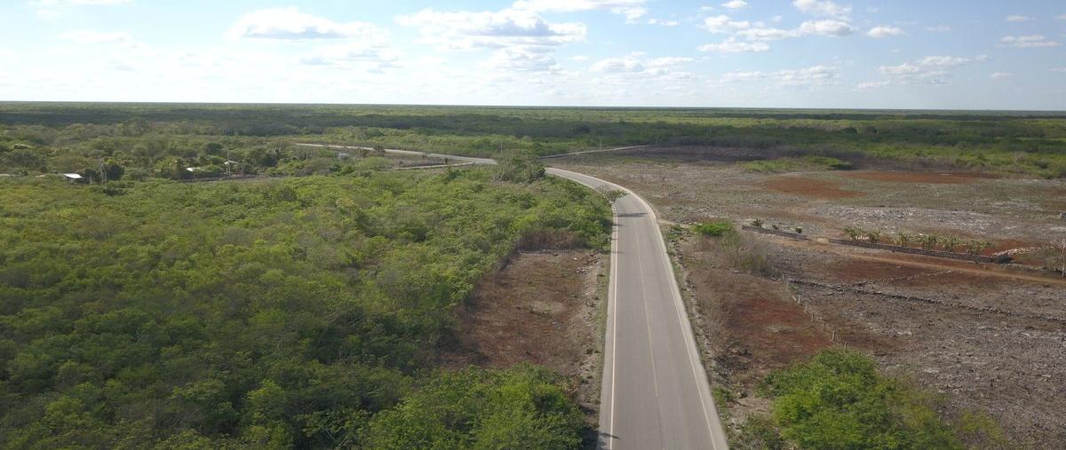 Foto de terreno habitacional en venta en  , opichen, opichén, yucatán, 30141138 No. 03