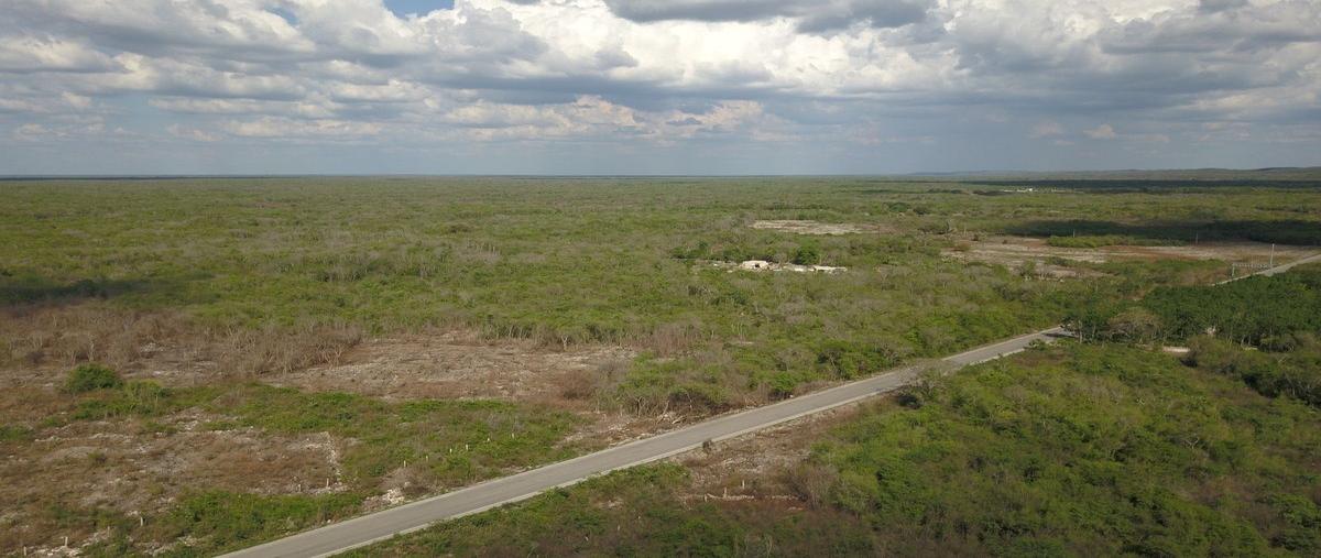 Foto de terreno habitacional en venta en  , opichen, opichén, yucatán, 30141138 No. 05