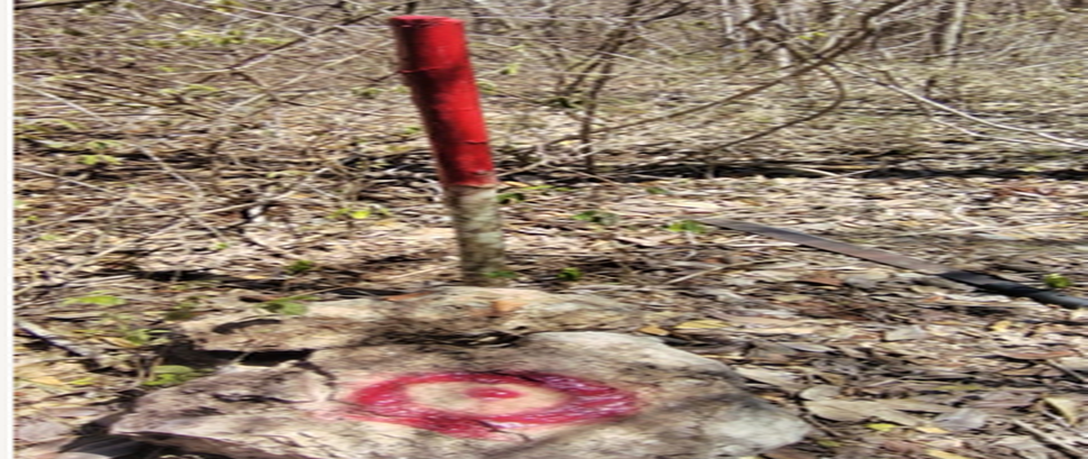 Foto de terreno habitacional en venta en opichen, opichén, yucatán , opichen, opichén, yucatán, 0 No. 03