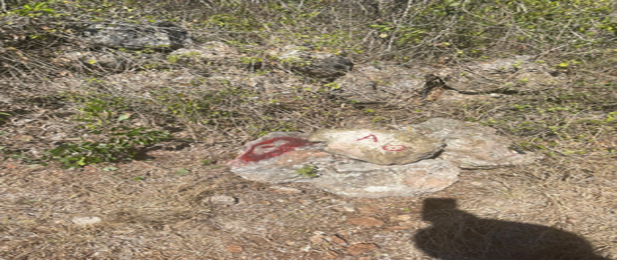 Foto de terreno habitacional en venta en opichen, opichén, yucatán , opichen, opichén, yucatán, 0 No. 05