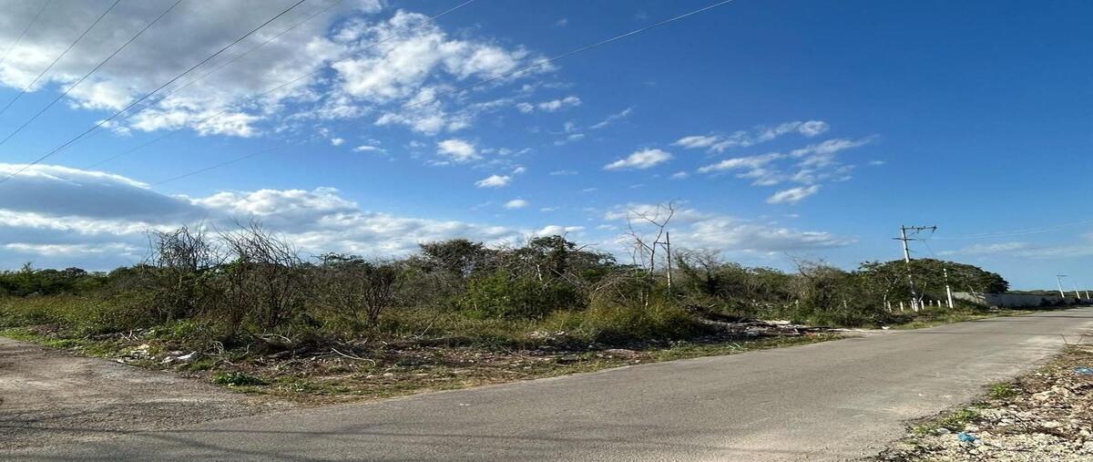 Foto de terreno habitacional en oportunidad de inversión en temozón norte , temozon norte, mérida, yucatán, 28289840 foto 01 Foto de terreno habitacional en venta en oportunidad de inversión en temozón norte , temozon norte, mérida, yucatán, 28289840 No. 01