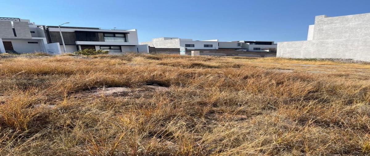 Foto de terreno habitacional en , oriental, san luis potosí, san luis potosí, 31644794 foto 02 Foto de terreno habitacional en venta en , oriental, san luis potosí, san luis potosí, 31644794 No. 02