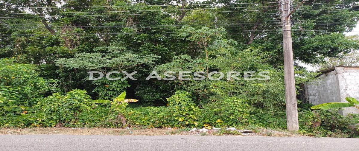 Foto de terreno comercial en venta en  , oriente 2a secc (san cayetano), comalcalco, tabasco, 29768478 No. 03