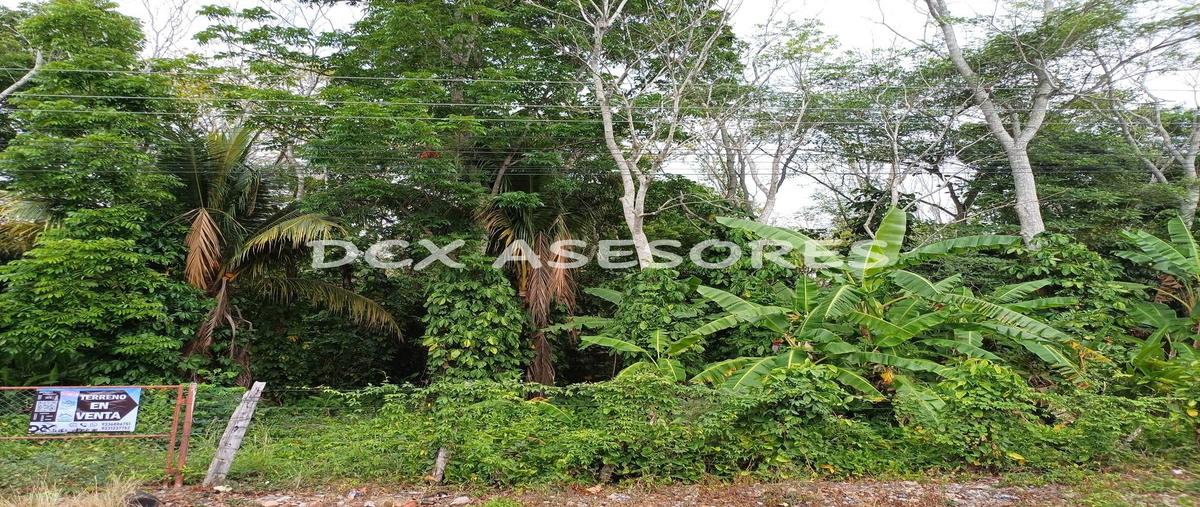 Foto de terreno comercial en venta en  , oriente 2a secc (san cayetano), comalcalco, tabasco, 29768478 No. 05