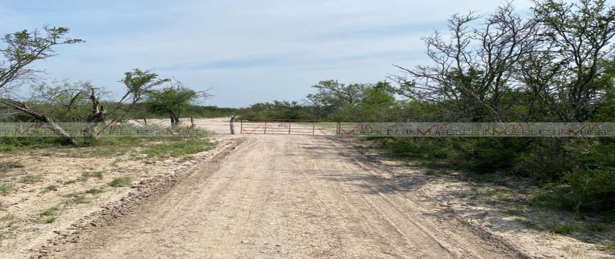 Foto de rancho en venta en  , oriente, villa unión, coahuila de zaragoza, 26962411 No. 03