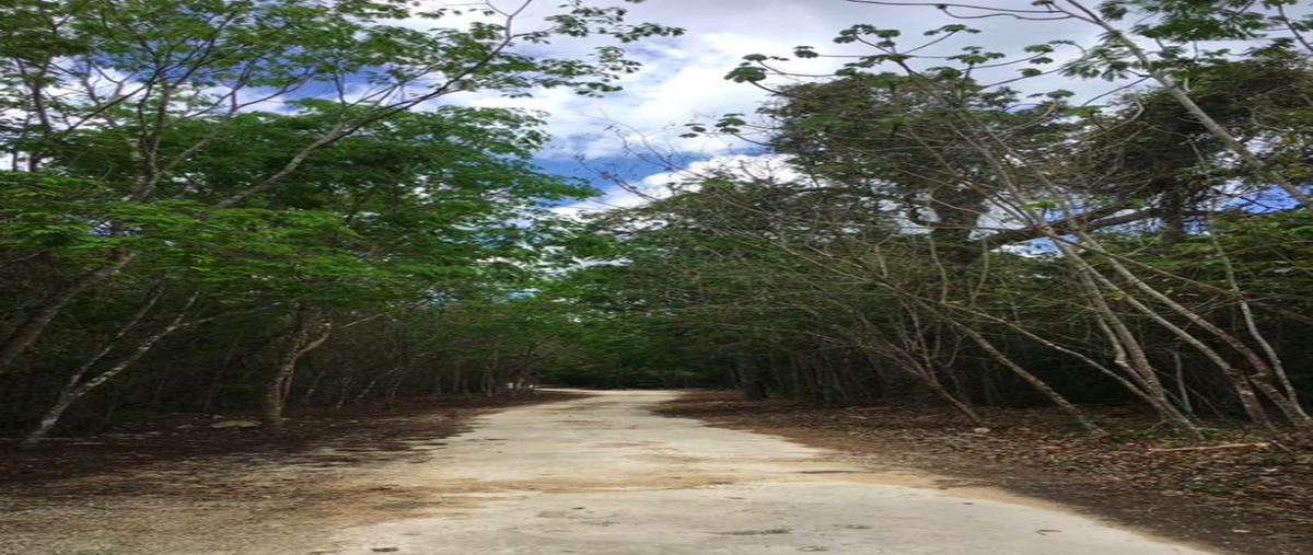 Foto de terreno habitacional en venta en origen 7 , puerto morelos, puerto morelos, quintana roo, 0 No. 03