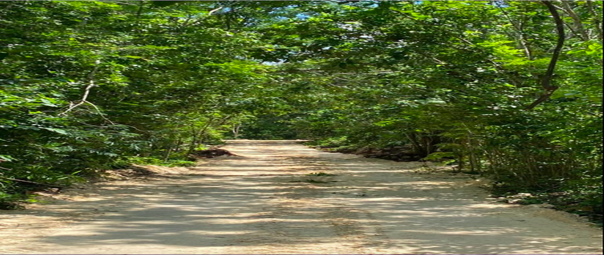 Foto de terreno habitacional en venta en origen 7 , puerto morelos, puerto morelos, quintana roo, 0 No. 04