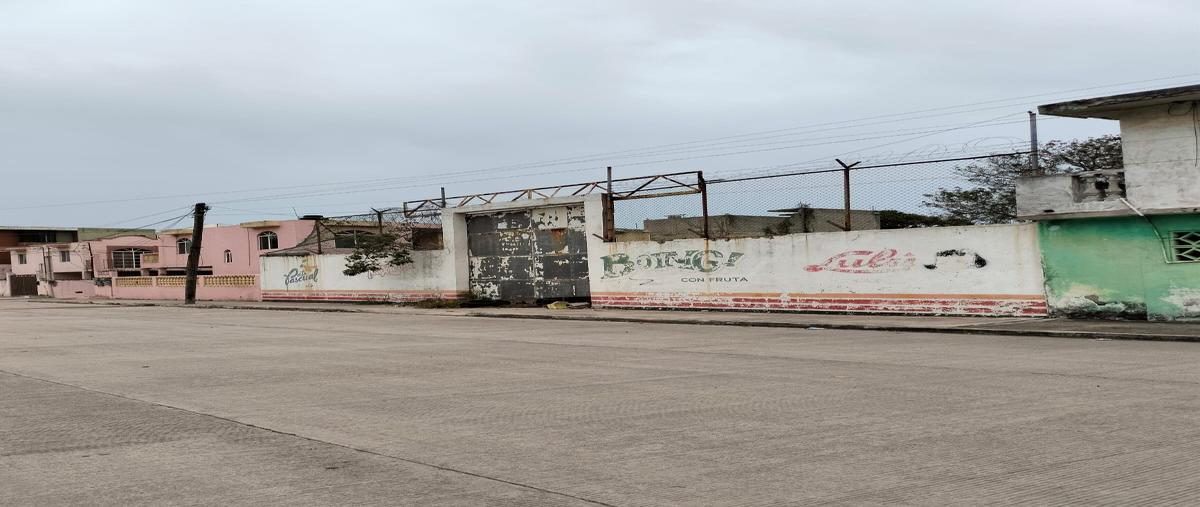 Foto de terreno comercial en venta en orizaba , hipódromo, ciudad madero, tamaulipas, 29401589 No. 04