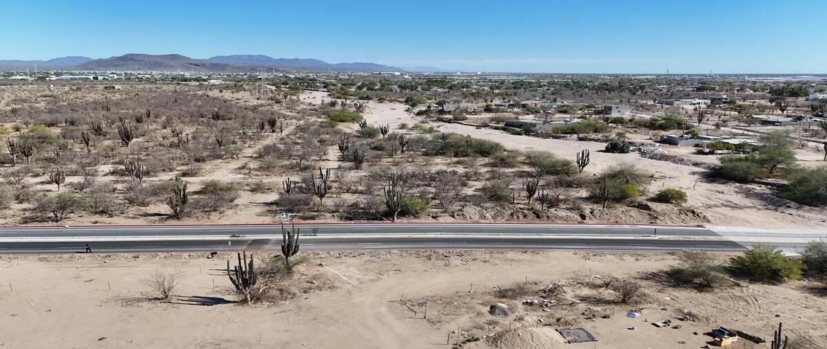 Foto de terreno habitacional en oro , el cardoncito ii, la paz, baja california sur, 0 foto 04 Foto de terreno habitacional en venta en oro , el cardoncito ii, la paz, baja california sur, 0 No. 04