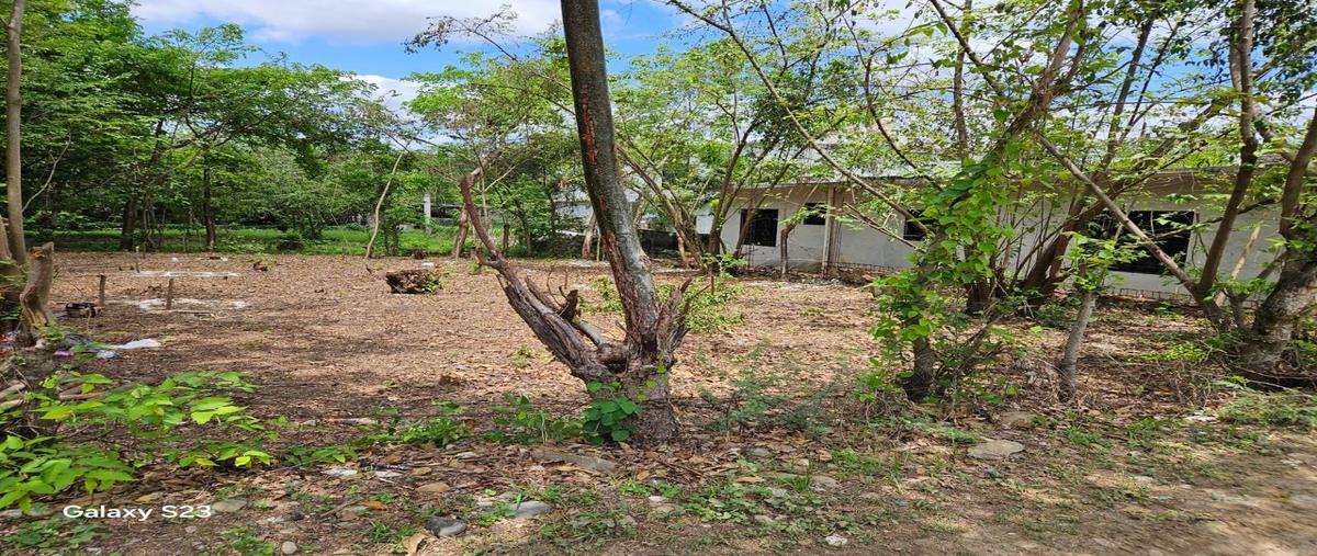 Foto de terreno habitacional en orquidea , atlapexco centro, atlapexco, hidalgo, 31506686 foto 03 Foto de terreno habitacional en venta en orquidea , atlapexco centro, atlapexco, hidalgo, 31506686 No. 03