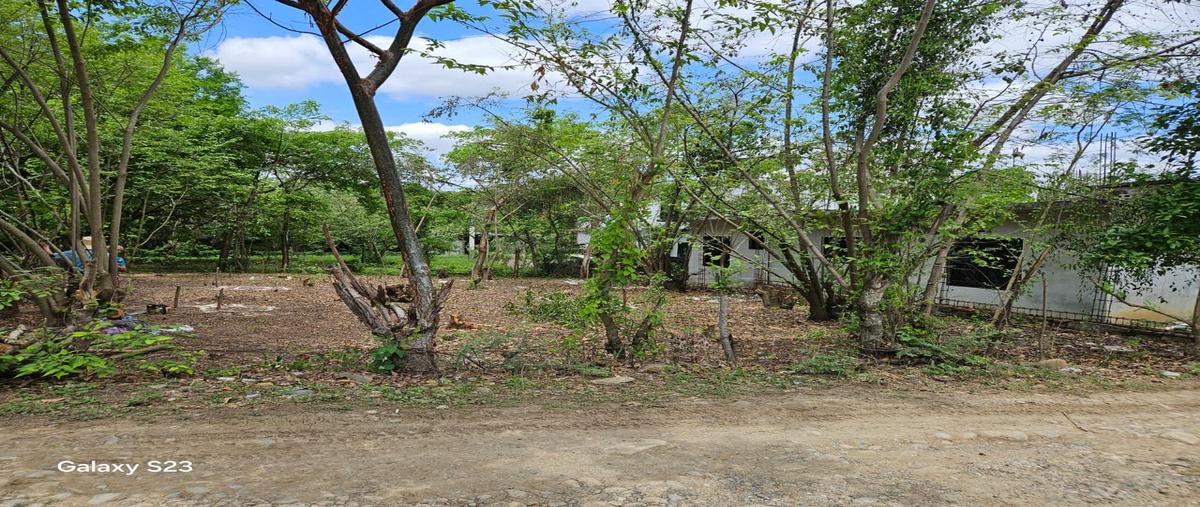 Foto de terreno habitacional en orquidea , atlapexco centro, atlapexco, hidalgo, 31506686 foto 05 Foto de terreno habitacional en venta en orquidea , atlapexco centro, atlapexco, hidalgo, 31506686 No. 05