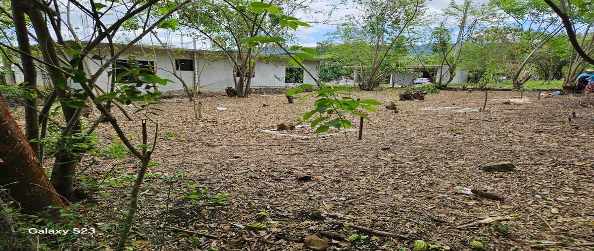 Foto de terreno habitacional en orquidea , atlapexco centro, atlapexco, hidalgo, 31506686 foto 06 Foto de terreno habitacional en venta en orquidea , atlapexco centro, atlapexco, hidalgo, 31506686 No. 06
