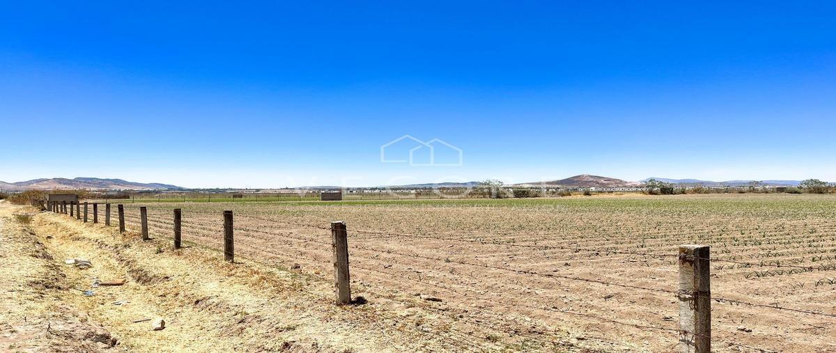 Foto de terreno habitacional en venta en orquidea , nuevo méxico, zapopan, jalisco, 26625855 No. 01