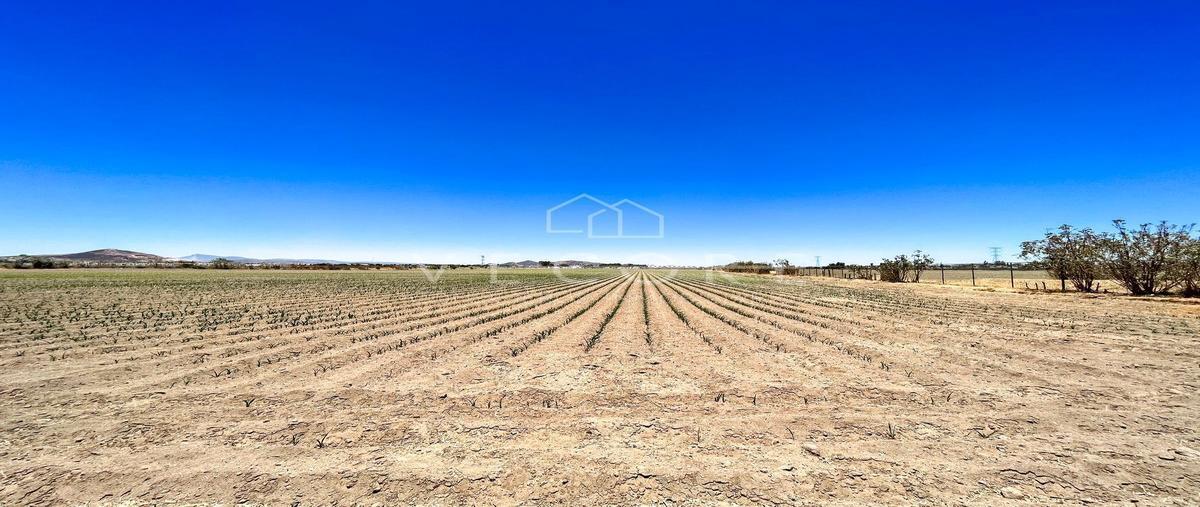Foto de terreno habitacional en venta en orquidea , nuevo méxico, zapopan, jalisco, 26625855 No. 02