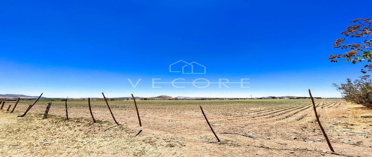 Foto de terreno habitacional en venta en orquidea , nuevo méxico, zapopan, jalisco, 26625855 No. 04