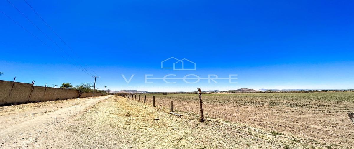 Foto de terreno habitacional en venta en orquidea , nuevo méxico, zapopan, jalisco, 26625855 No. 05