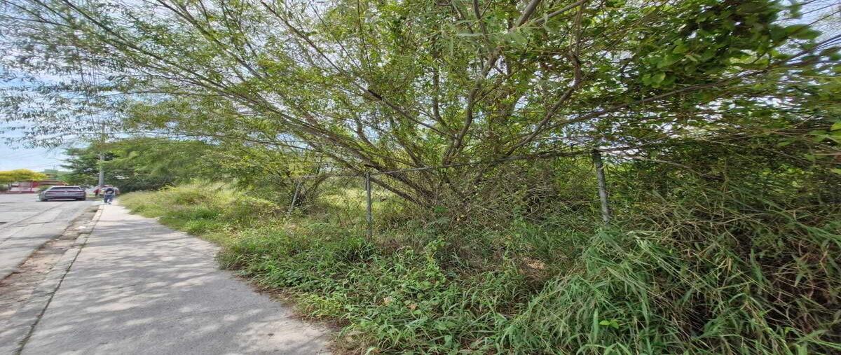 Foto de terreno habitacional en orquidea , san miguel, apodaca, nuevo león, 28746869 foto 02 Foto de terreno habitacional en renta en orquidea , san miguel, apodaca, nuevo león, 28746869 No. 02