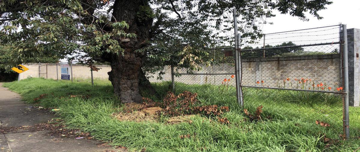 Foto de terreno habitacional en venta en  , ortiz rubio (jajalpa), ocoyoacac, méxico, 16255474 No. 04