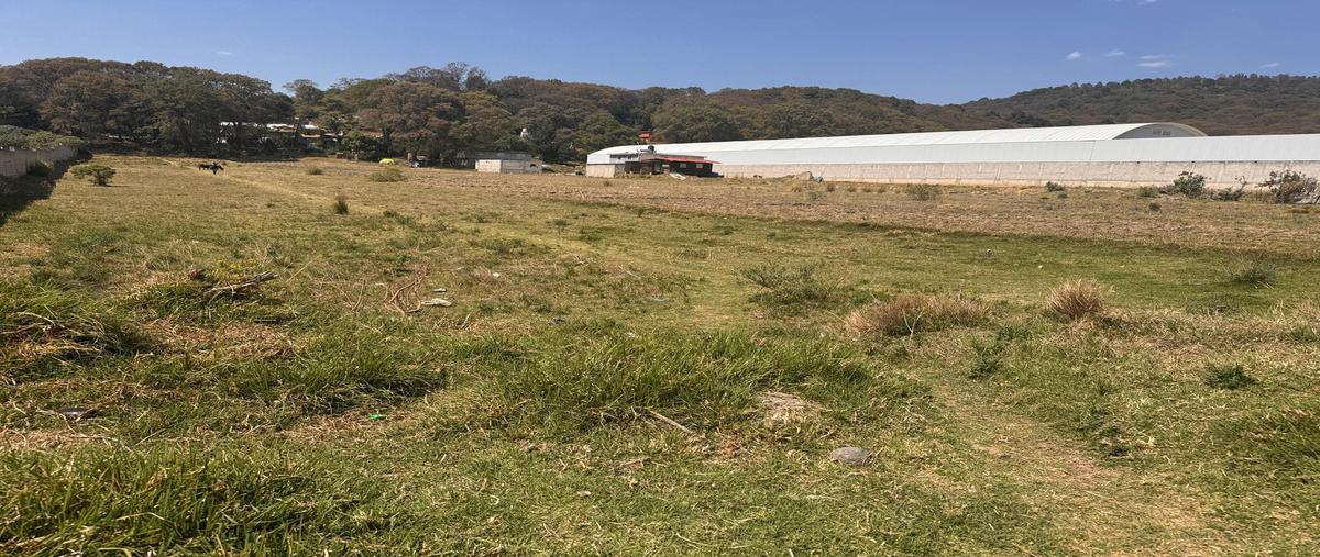 Foto de terreno habitacional en venta en  , ortiz rubio (jajalpa), ocoyoacac, méxico, 25012466 No. 03