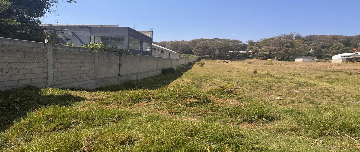 Foto de terreno habitacional en venta en  , ortiz rubio (jajalpa), ocoyoacac, méxico, 25012466 No. 05